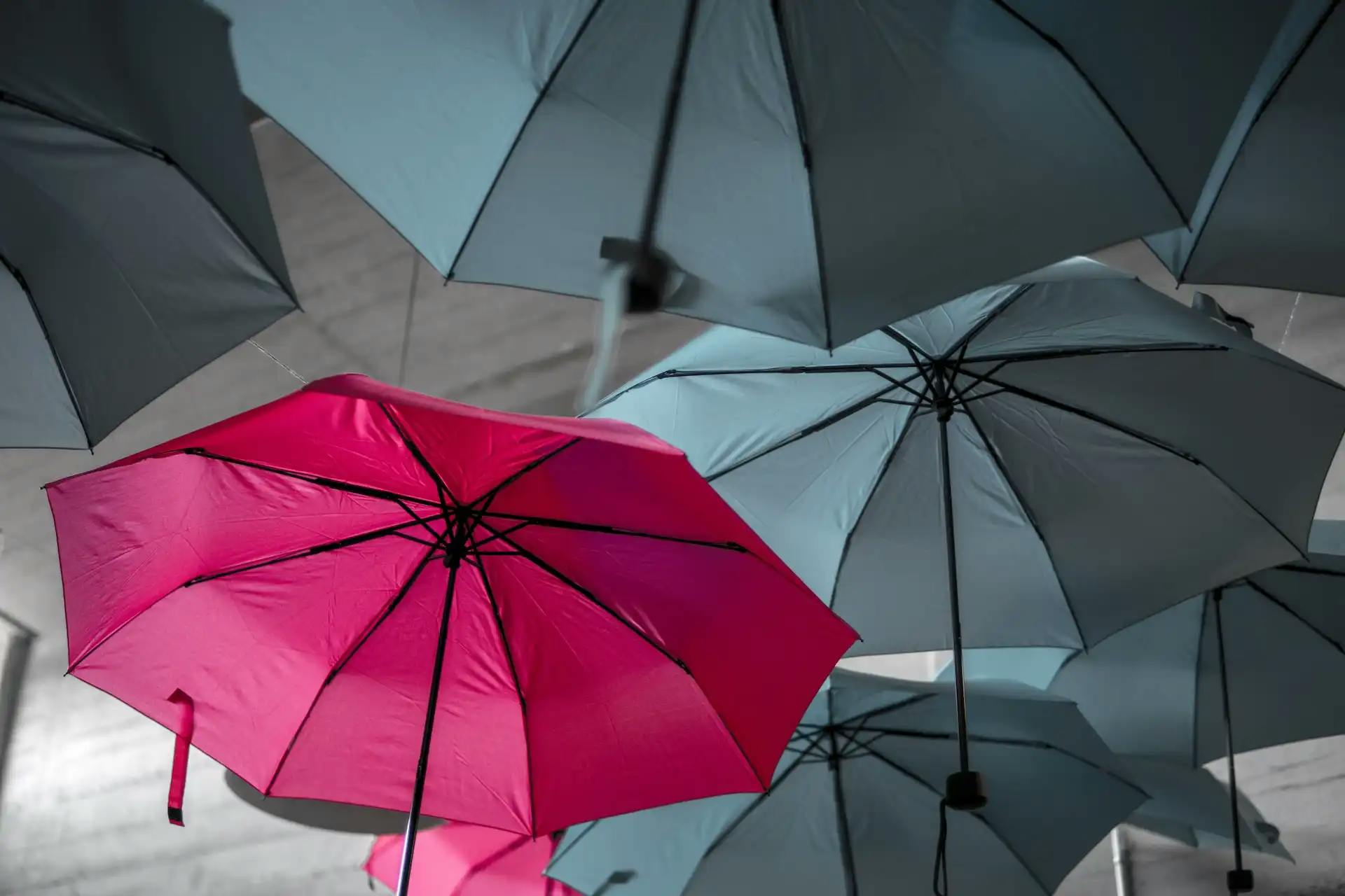 One Pink and few Grey Umbrellas... by Noah Näf